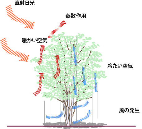 トップバナー