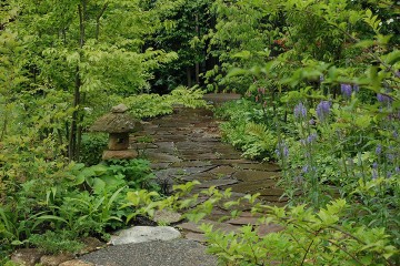 土極めの自然石敷きと植栽